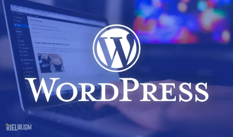 wordpress kapak